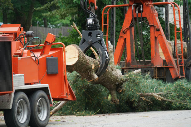 Best Weed Control  in Watertown, NY