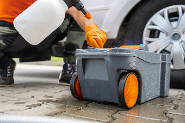 Best Tree Disease Treatment  in Watertown, NY
